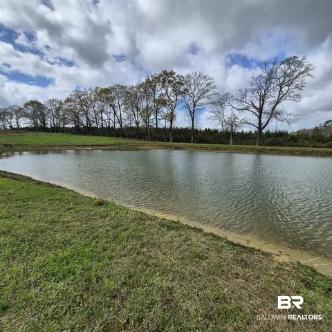 26635 Highway 41, Range, AL 36473 photo 56