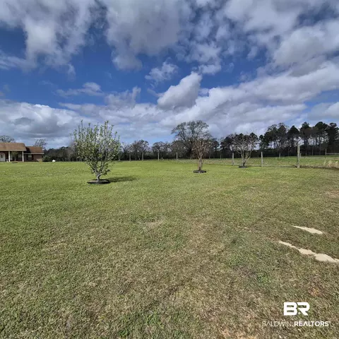 26635 Highway 41, Range, AL 36473 photo 70