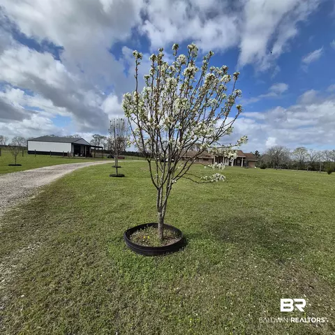 26635 Highway 41, Range, AL 36473 photo 71