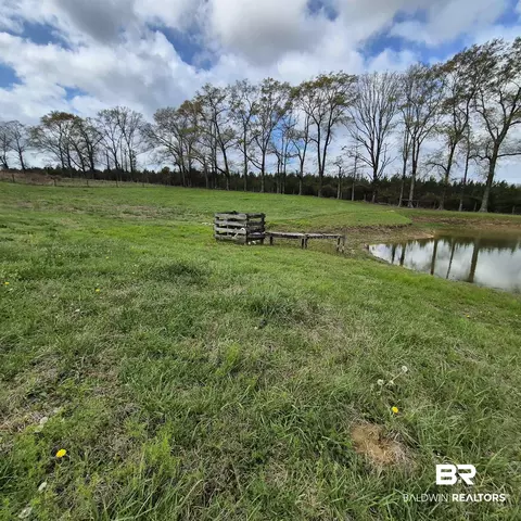 26635 Highway 41, Range, AL 36473 photo 58