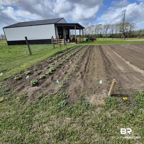 26635 Highway 41, Range, AL 36473 photo 54