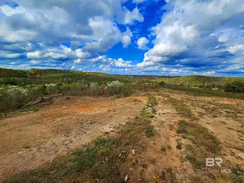 0 County Road 79, Waterloo, AL 36577