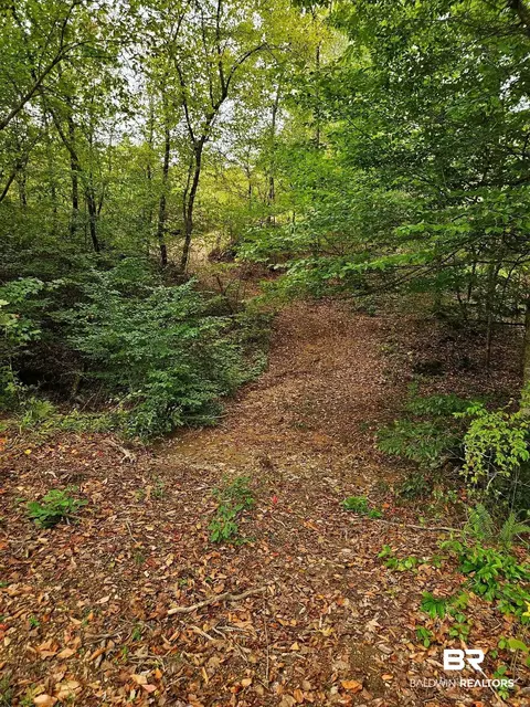 0 County Road 79, Waterloo, AL 36577 photo 23
