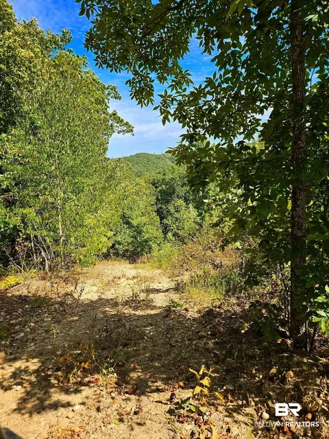 0 County Road 79, Waterloo, AL 36577 photo 11