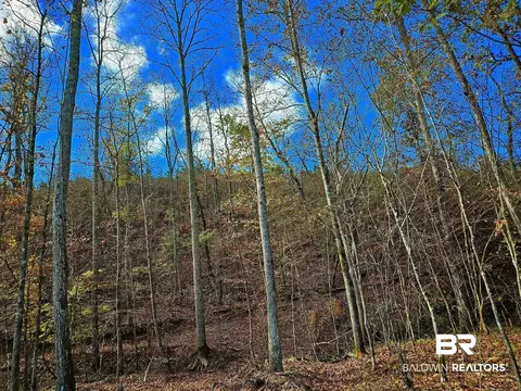 0 County Road 79, Waterloo, AL 36577 photo 5