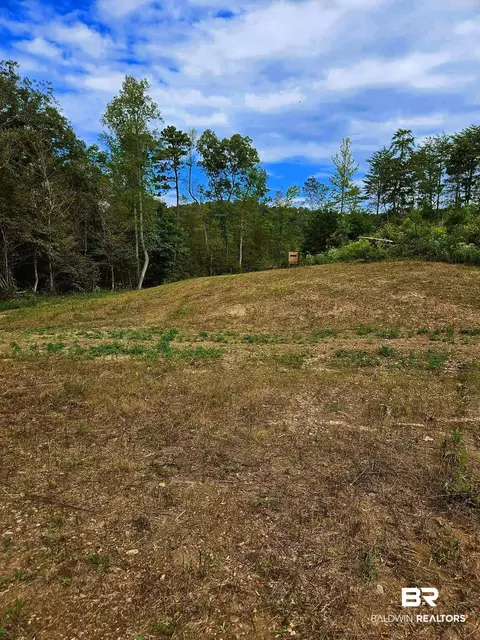0 County Road 79, Waterloo, AL 36577 photo 38