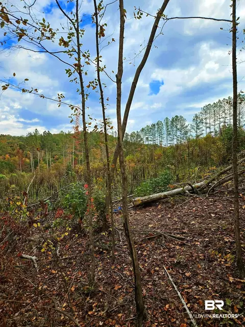 0 County Road 79, Waterloo, AL 36577 photo 24