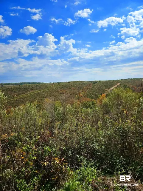 0 County Road 79, Waterloo, AL 36577 photo 35
