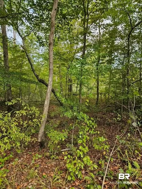 0 County Road 79, Waterloo, AL 36577 photo 34