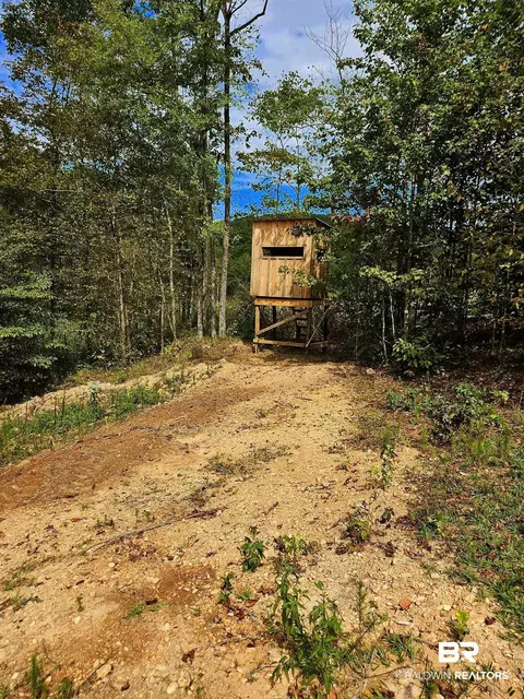 0 County Road 79, Waterloo, AL 36577 photo 33