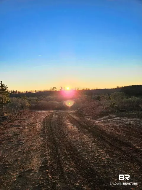 0 County Road 79, Waterloo, AL 36577 photo 22