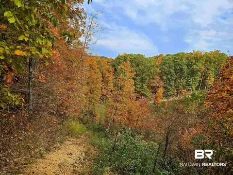 0 County Road 79, Waterloo, AL 36577 photo 3