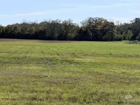 0 Weeks Rd, Foley, AL 36535 photo 3