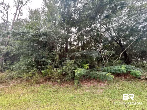 0 Stone Mill Dr, Mobile, AL 36619 photo 5