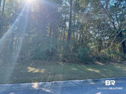 0 Stone Mill Dr, Mobile, AL 36619 photo 3