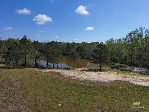 0 Gap Weekley Rd, Perdido, AL 36562 photo 5