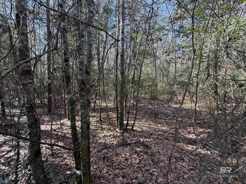 0 Gap Weekley Rd, Perdido, AL 36562 photo 13