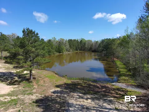 0 Gap Weekley Rd, Perdido, AL 36562 photo 7