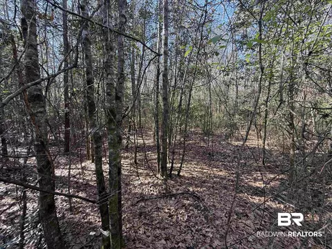 0 Gap Weekley Rd, Perdido, AL 36562 photo 13