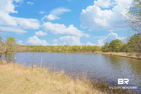 48248 Chastang Lake Rd, Bay Minette, AL 36507 photo 65