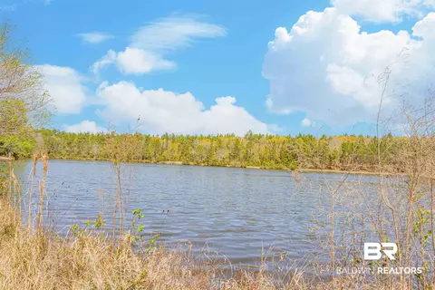 48248 Chastang Lake Rd, Bay Minette, AL 36507 photo 66