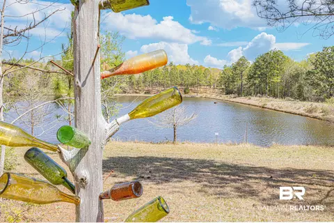 48248 Chastang Lake Rd, Bay Minette, AL 36507 photo 64
