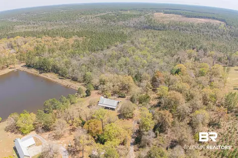 48248 Chastang Lake Rd, Bay Minette, AL 36507 photo 78