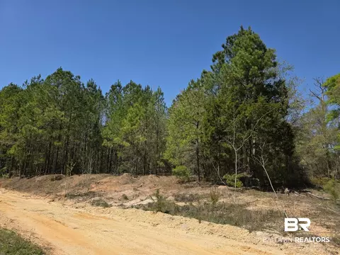Other - 11 Coal Fire Rd, Jackson, AL 36545 photo 2 of 5