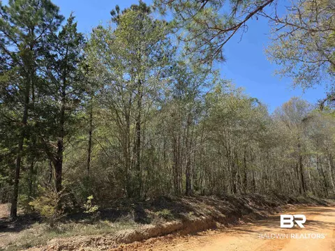 Other - 11 Coal Fire Rd, Jackson, AL 36545 photo 3 of 5