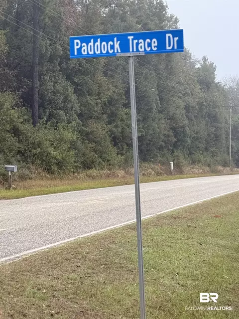 9720 Paddock Trace Dr, Foley, AL 36535 photo 92