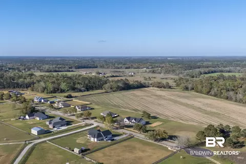 9720 Paddock Trace Dr, Foley, AL 36535 photo 79