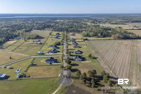 9720 Paddock Trace Dr, Foley, AL 36535 photo 83