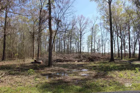 Heron Point Drive, Lowndesboro, AL 36752