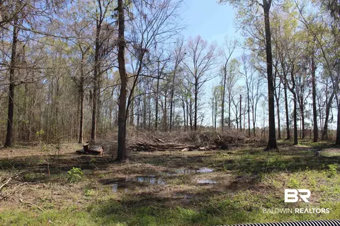 Heron Point Drive, Lowndesboro, AL 36752