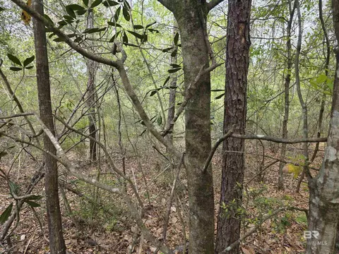 12287 Red Hill Rd Ext, Bay Minette, AL 36507