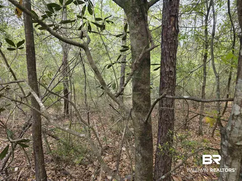 12287 Red Hill Rd Ext, Bay Minette, AL 36507