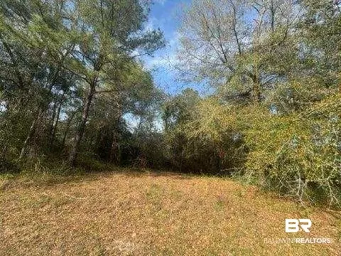 0 Delta Woods Dr, Bay Minette, AL 36507