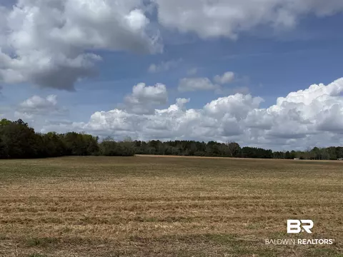 00 Green Rd, Jay, FL 32531 photo 10