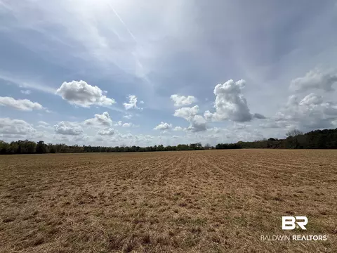 00 Green Rd, Jay, FL 32531 photo 3