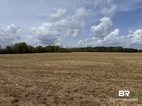 00 Green Rd, Jay, FL 32531 photo 8