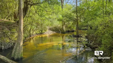 22800 River Rd, Daphne, AL 36526 photo 6