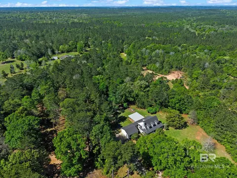 View/Area - 35673 County Road 39, Stapleton, AL 36578 photo 4 of 4