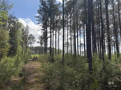 tbd Old Drive In Rd, Grove Hill, AL 36451