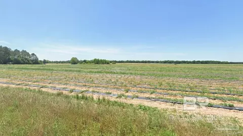 0 Russell Wade Rd, Jay, FL 32565