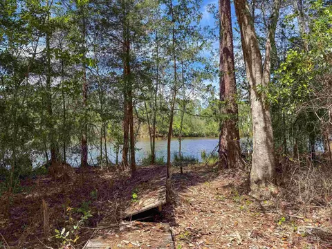 25185 Pompano Dr, Elberta, AL 36530 photo 5