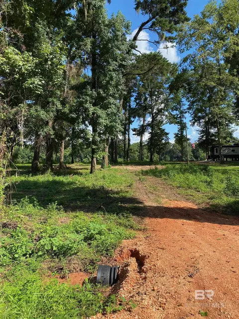 87 Sandy Bottoms Rd, Gainestown, AL 36540