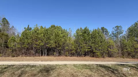 0 Alabama Highway 47, Beatrice, AL 36425