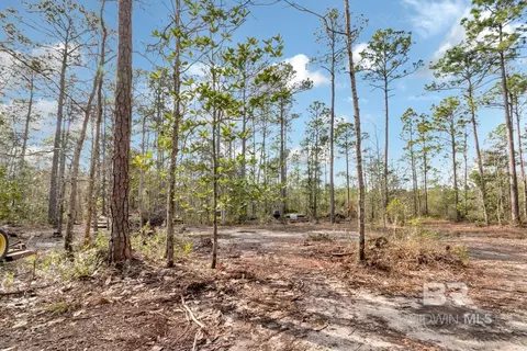 5250 Lossing Rd, Coden, AL 36523 photo 2