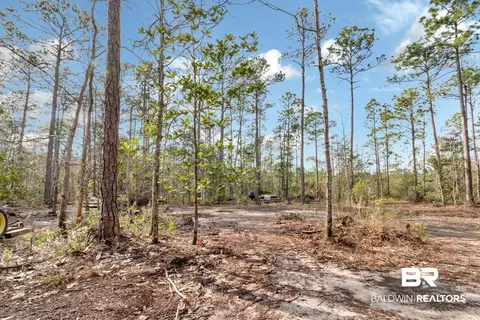 5250 Lossing Rd, Coden, AL 36523 photo 2