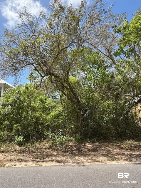 0 Gulf Ave, Orange Beach, AL 36561